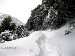 Snow covered Trail to Triund Hill