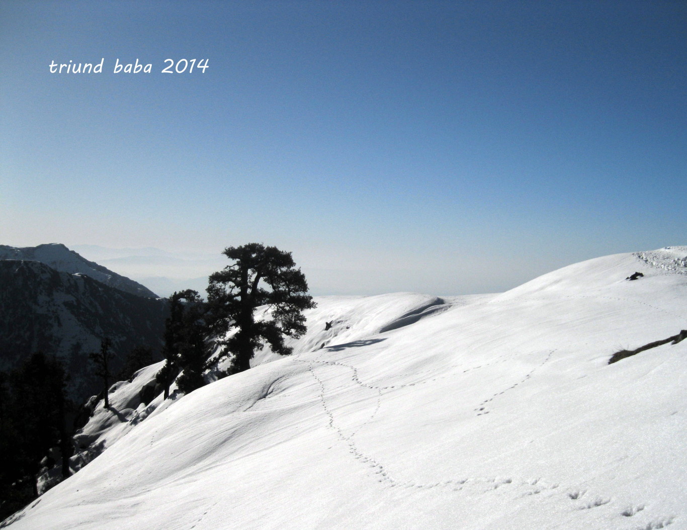 Triund