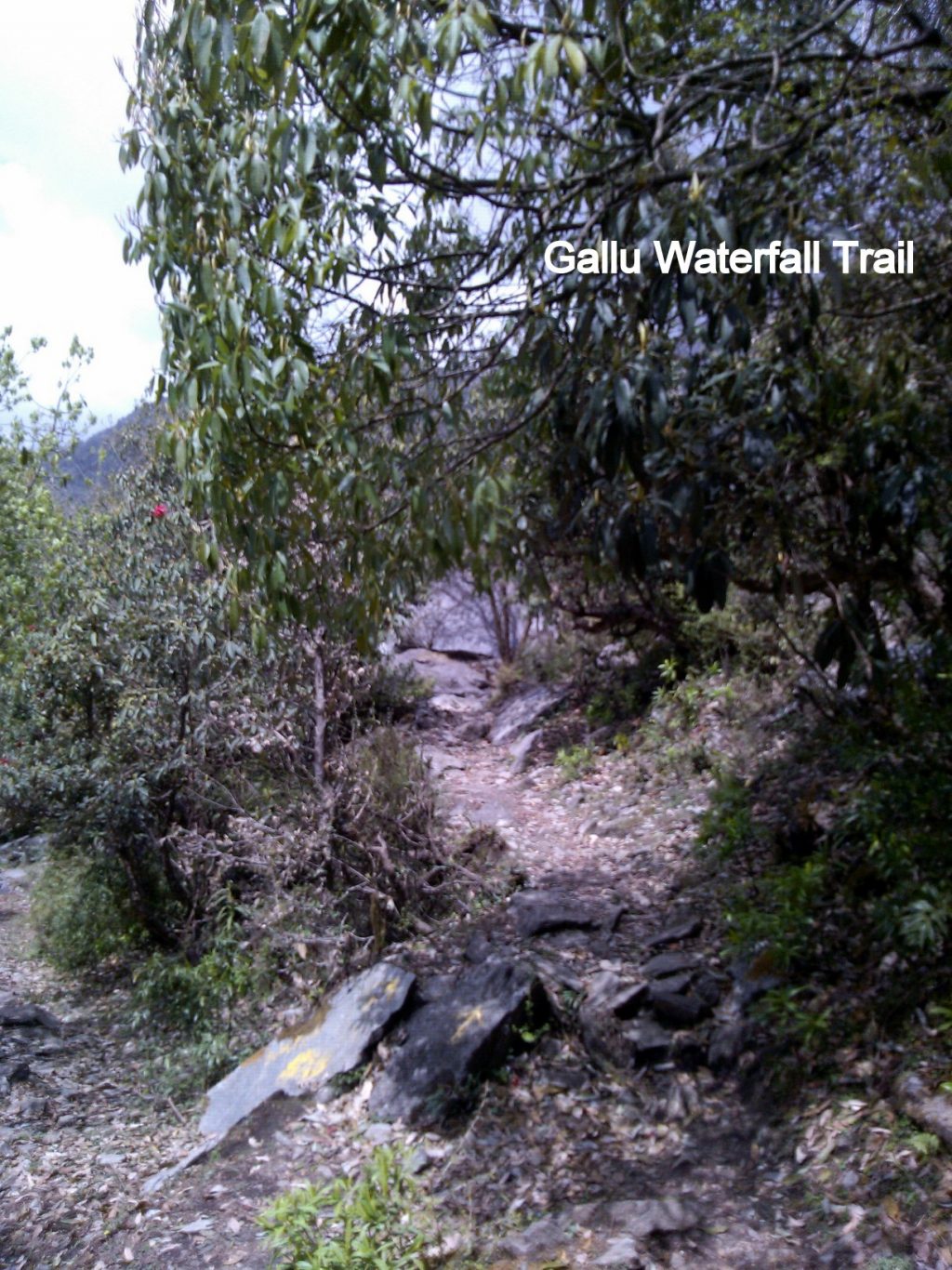 Gallu Waterfall Trail