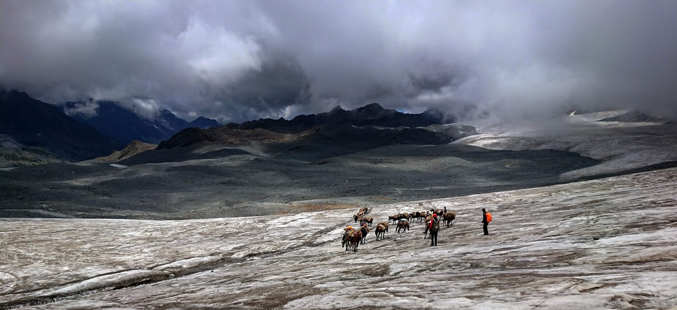 Mule Train and Glacier Stretch