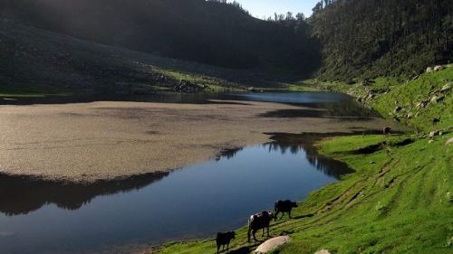 Kareri Lake and LiveStock